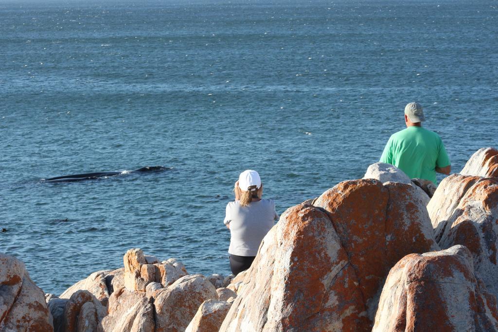 WhaleTale Apartment De Kelders Luaran gambar